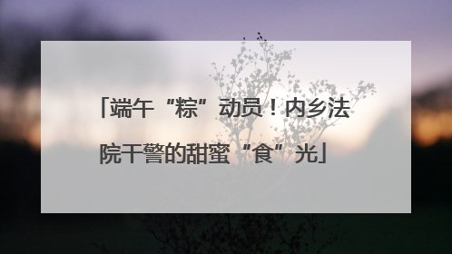 端午“粽”动员！内乡法院干警的甜蜜“食”光