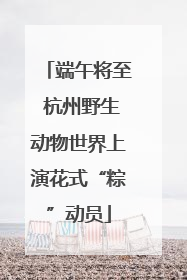 端午将至 杭州野生动物世界上演花式“粽”动员