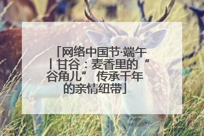 网络中国节·端午丨甘谷：麦香里的“谷角儿” 传承千年的亲情纽带