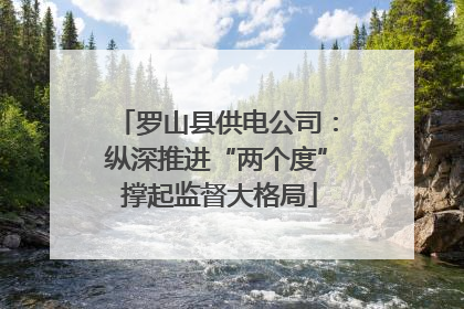 罗山县供电公司：纵深推进“两个度” 撑起监督大格局
