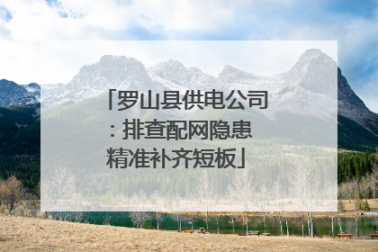 罗山县供电公司：排查配网隐患 精准补齐短板
