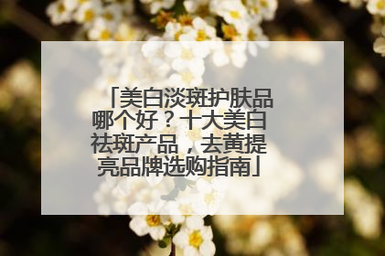 美白淡斑护肤品哪个好？十大美白祛斑产品，去黄提亮品牌选购指南