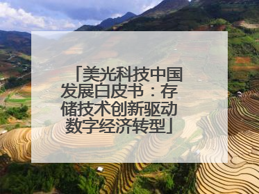 美光科技中国发展白皮书：存储技术创新驱动数字经济转型
