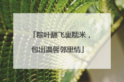 粽叶翻飞裹糯米，包出温馨邻里情