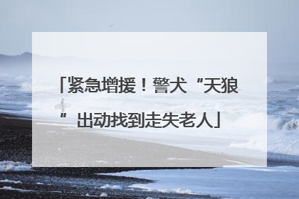 紧急增援！警犬“天狼”出动找到走失老人