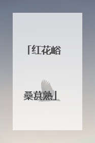 红花峪 桑葚熟
