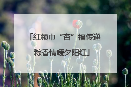 红领巾“杏”福传递 粽香情暖夕阳红