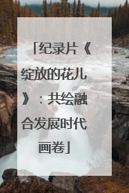 纪录片《绽放的花儿》：共绘融合发展时代画卷