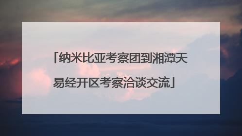 纳米比亚考察团到湘潭天易经开区考察洽谈交流