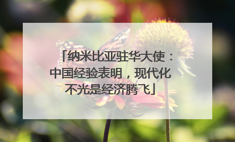 纳米比亚驻华大使：中国经验表明，现代化不光是经济腾飞