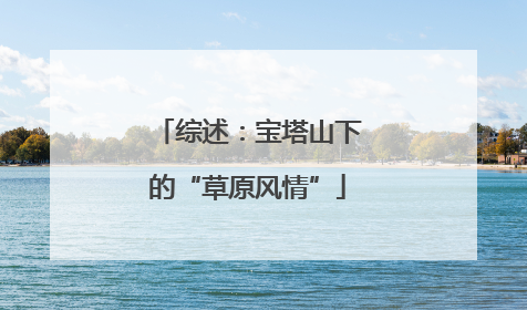 综述：宝塔山下的“草原风情”