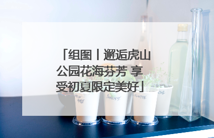 组图丨邂逅虎山公园花海芬芳 享受初夏限定美好