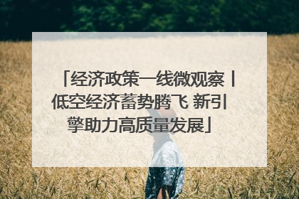 经济政策一线微观察丨低空经济蓄势腾飞 新引擎助力高质量发展