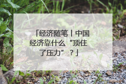 经济随笔丨中国经济靠什么“顶住了压力”？