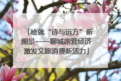 绘就“诗与远方”新图景——聊城露营经济激发文旅消费新活力