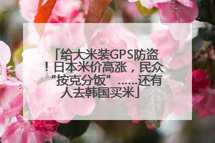 给大米装GPS防盗！日本米价高涨，民众“按克分饭”……还有人去韩国买米