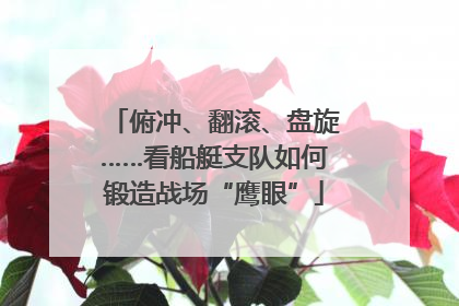 俯冲、翻滚、盘旋……看船艇支队如何锻造战场“鹰眼”