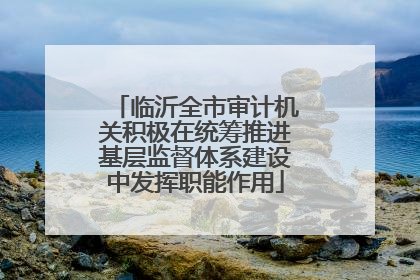临沂全市审计机关积极在统筹推进基层监督体系建设中发挥职能作用