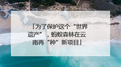 为了保护这个“世界遗产”，蚂蚁森林在云南再“种”新项目