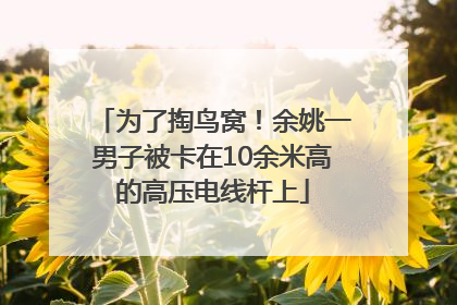 为了掏鸟窝！余姚一男子被卡在10余米高的高压电线杆上