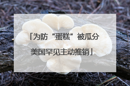为防“蛋糕”被瓜分 美国罕见主动推销