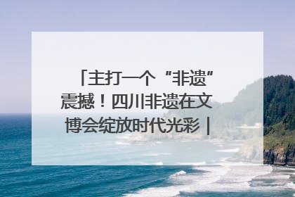 主打一个“非遗”震撼！四川非遗在文博会绽放时代光彩｜文博向“新”