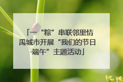 一“粽”串联邻里情 禹城市开展“我们的节日·端午”主题活动