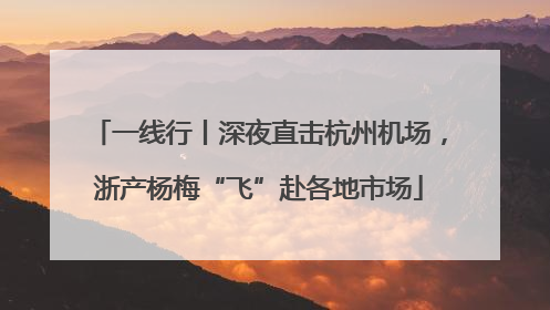 一线行丨深夜直击杭州机场，浙产杨梅“飞”赴各地市场
