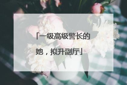 一级高级警长的她，拟升副厅