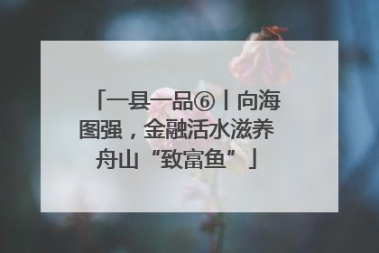 一县一品⑥丨向海图强，金融活水滋养舟山“致富鱼”