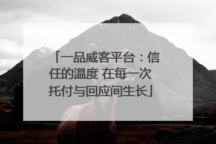 一品威客平台：信任的温度 在每一次托付与回应间生长