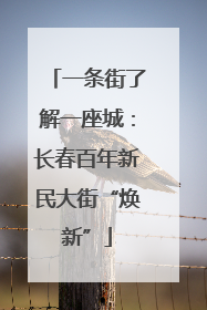 一条街了解一座城：长春百年新民大街“焕新”