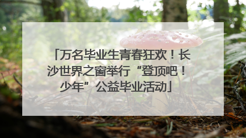 万名毕业生青春狂欢！长沙世界之窗举行“登顶吧！少年”公益毕业活动
