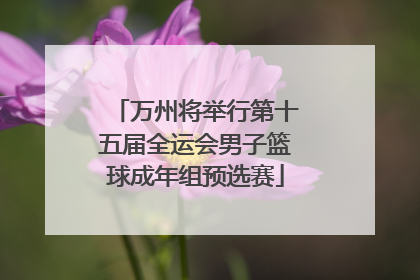 万州将举行第十五届全运会男子篮球成年组预选赛