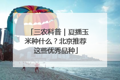 三农科普｜夏播玉米种什么？北京推荐这些优秀品种