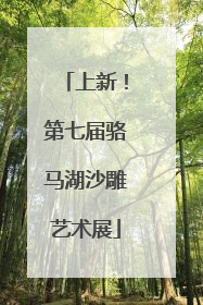 上新！第七届骆马湖沙雕艺术展