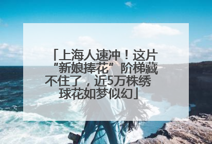 上海人速冲！这片“新娘捧花”阶梯藏不住了，近5万株绣球花如梦似幻