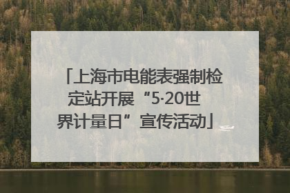 上海市电能表强制检定站开展“5·20世界计量日”宣传活动