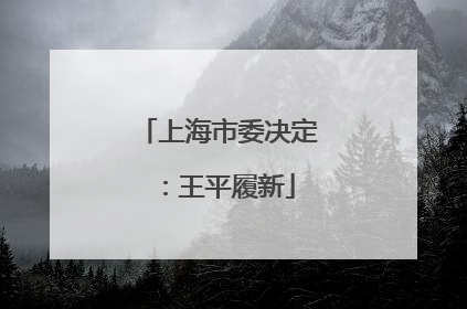 上海市委决定：王平履新