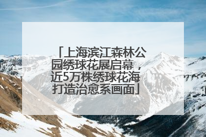 上海滨江森林公园绣球花展启幕，近5万株绣球花海打造治愈系画面