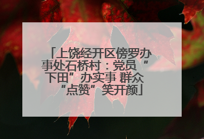 上饶经开区傍罗办事处石桥村：党员“下田”办实事 群众“点赞”笑开颜