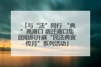 与“法”同行 “典”亮港口 宿迁港口集团组织开展“民法典宣传月”系列活动