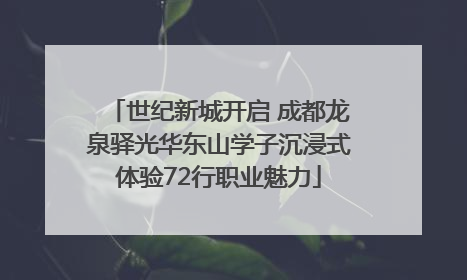世纪新城开启 成都龙泉驿光华东山学子沉浸式体验72行职业魅力