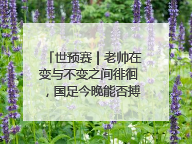 世预赛｜老帅在变与不变之间徘徊，国足今晚能否搏出生机？