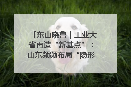 东山晓鲁｜工业大省再造“新基点”：山东频频布局“隐形冠军”背后