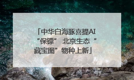 中华白海豚喜提AI“保镖” 北京生态“藏宝图”物种上新