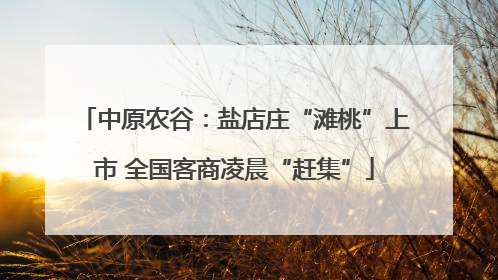 中原农谷：盐店庄“滩桃”上市 全国客商凌晨“赶集”