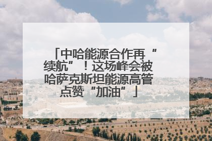中哈能源合作再“续航”！这场峰会被哈萨克斯坦能源高管点赞“加油”