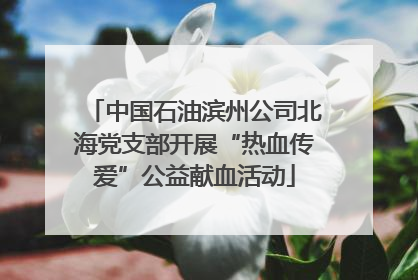 中国石油滨州公司北海党支部开展“热血传爱”公益献血活动