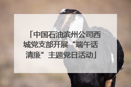 中国石油滨州公司西城党支部开展“端午话清廉”主题党日活动